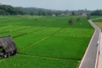 Kawasan Sawah Lembur Pakuan
