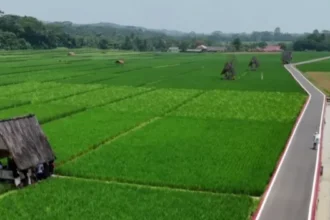 Kawasan Sawah Lembur Pakuan