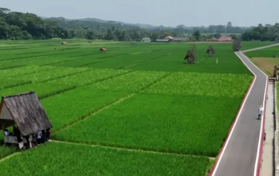 Kawasan Sawah Lembur Pakuan
