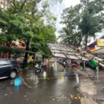 musibah pohon tumbang melanda sejumlah titik di Kota Bandung