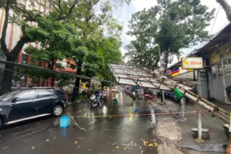 musibah pohon tumbang melanda sejumlah titik di Kota Bandung